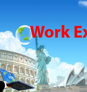 work Experience