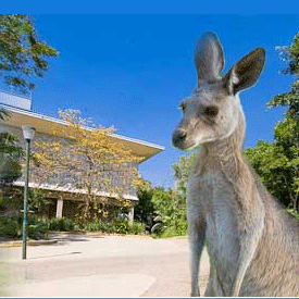 ���¹ Central Queensland University ��������� 